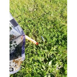 2personer telt , helrs, 2-3 personer bl farge